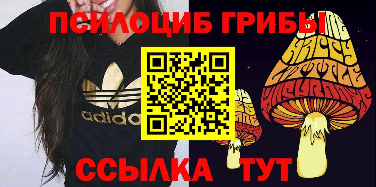 Псилоцибиновые грибы Psilocybine cubensis  Галлюциногенные грибы Psilocybe  Вход с VPN  Орёл 